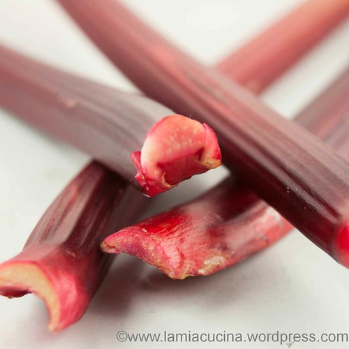 Erdbeeren mit Rhababer 2013 06 10_0592