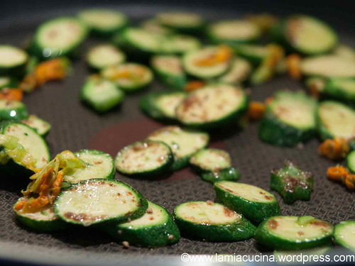 Zucchini total 2013 08 07_1280