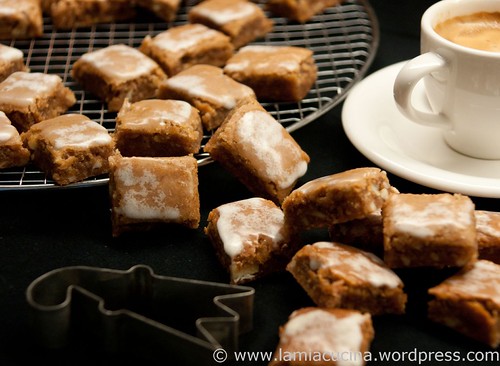 Gingerli 00_2011 08 15_5536ed