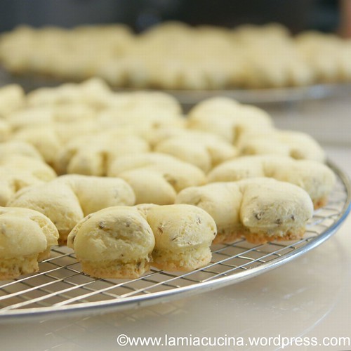 Badener Chräbeli Chräbeli 0_2011 11 20_1155