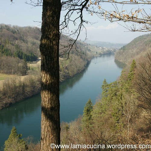 Biowein 0_2012 03 23_3975