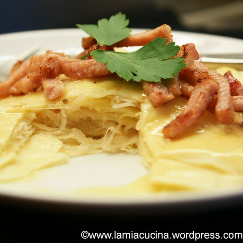 Kraut-Lasagnette 0_2011 12 16_1974