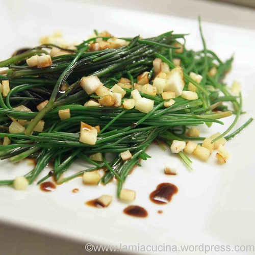 Barba di Frate con cedri Barba di Frate Basilea 0_2012 02 25_3256