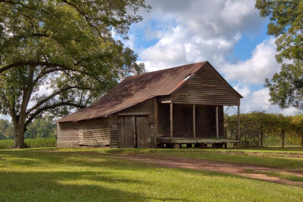 A wooden, rustic house with a metal roof, partially surrounded by trees and green grass, under a cloudy blue sky.