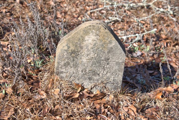 Weathered grave marker partially obscured by dry leaves and grass in a natural setting.