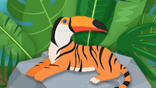 A toucan tiger on a rock