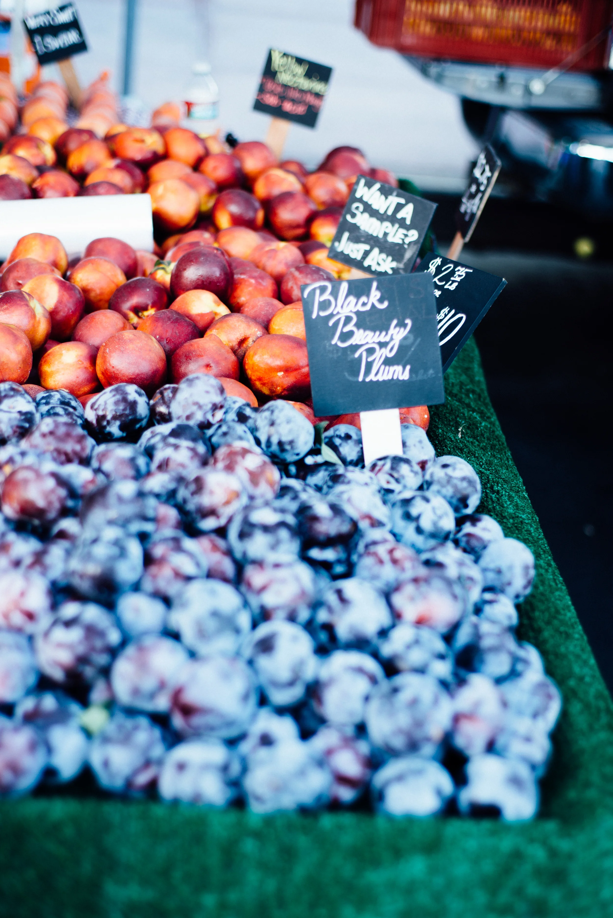 LA | dolly and oatmeal