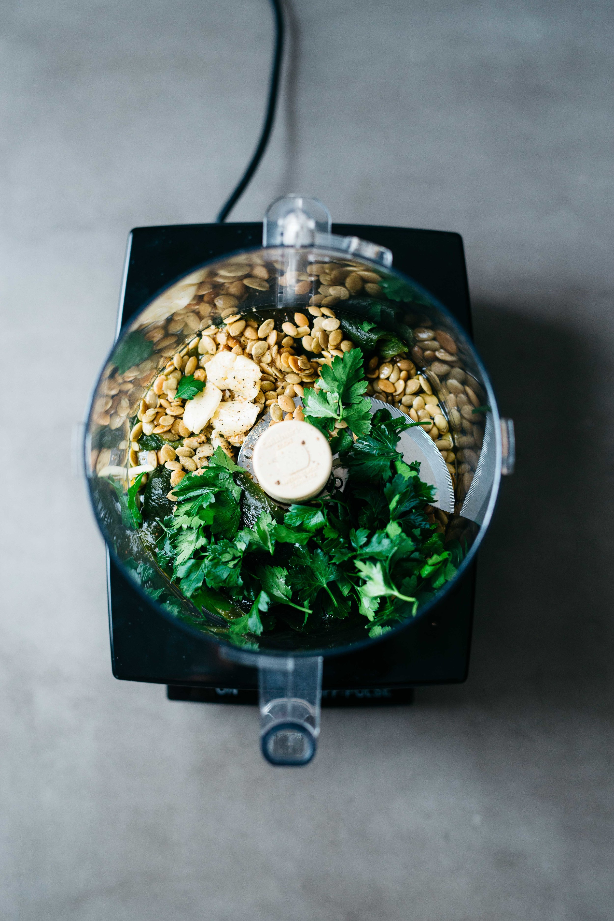 Wild Salmon W/ Pepita & Poblano Romesco | Dolly and Oatmeal