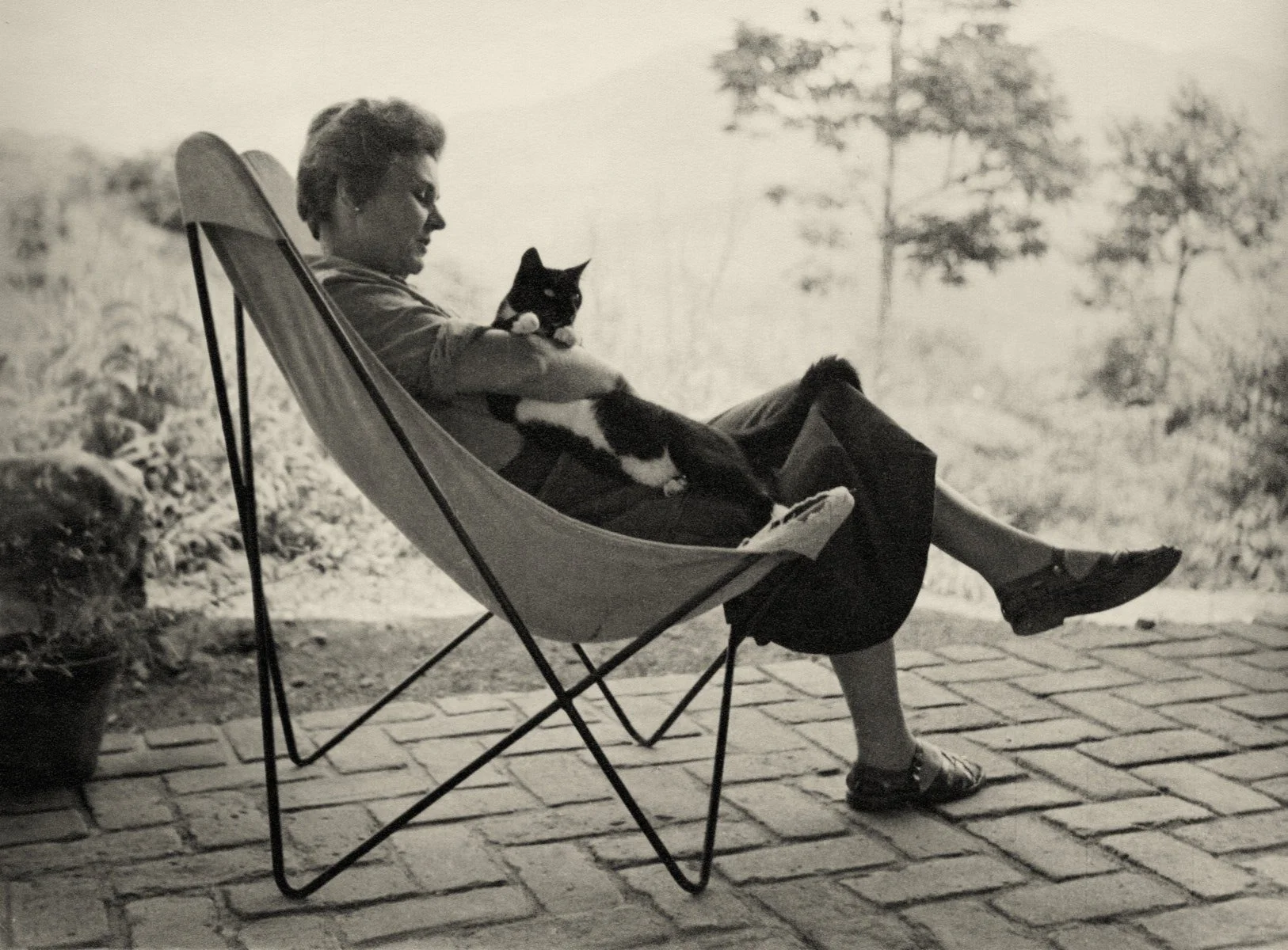 A Miracle for Breakfast: Reading Elizabeth Bishop on Serifos