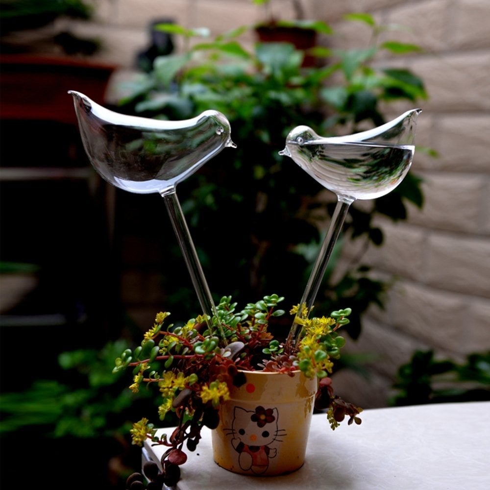 two bird shaped plant watering globes stuck into a container plant