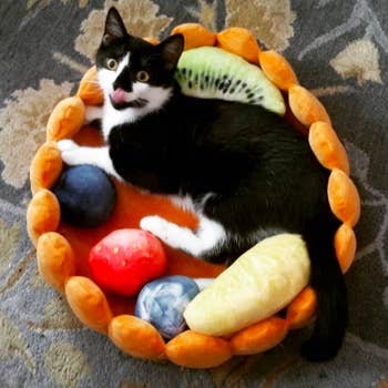 Reviewer's kitten inside bed, stretching it with its paws showing the flexibility of the product