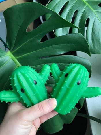 hand holding two of the cactus dryer