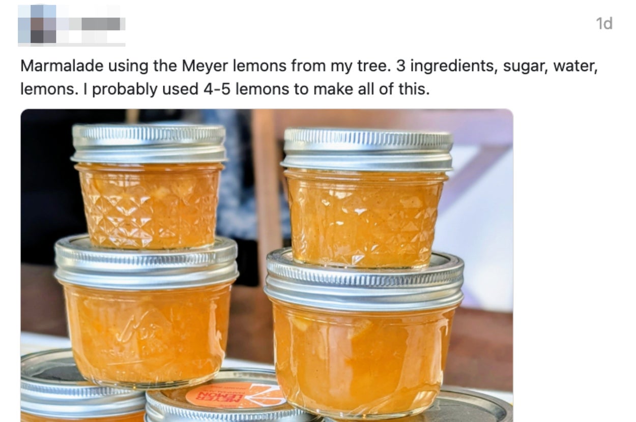 Several jars of homemade marmalade made with Meyer lemons are stacked on a table, described in the caption