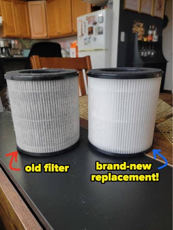 editor's old filter that's gray with captured dust and dander, next to a brand new replacement filter that's pure white