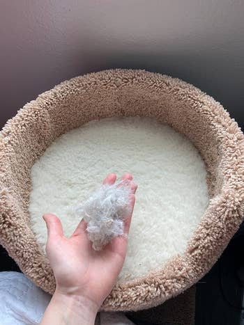 a hand holding a wad of fur removed from their cat's bed