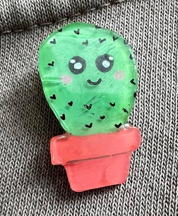 the same cactus after being shrunk down