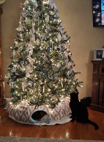 the tunnel around a tree