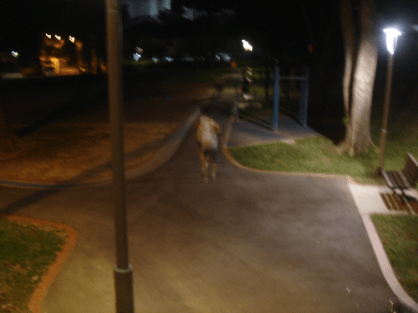 dsc00782-copy dsc00782-copy