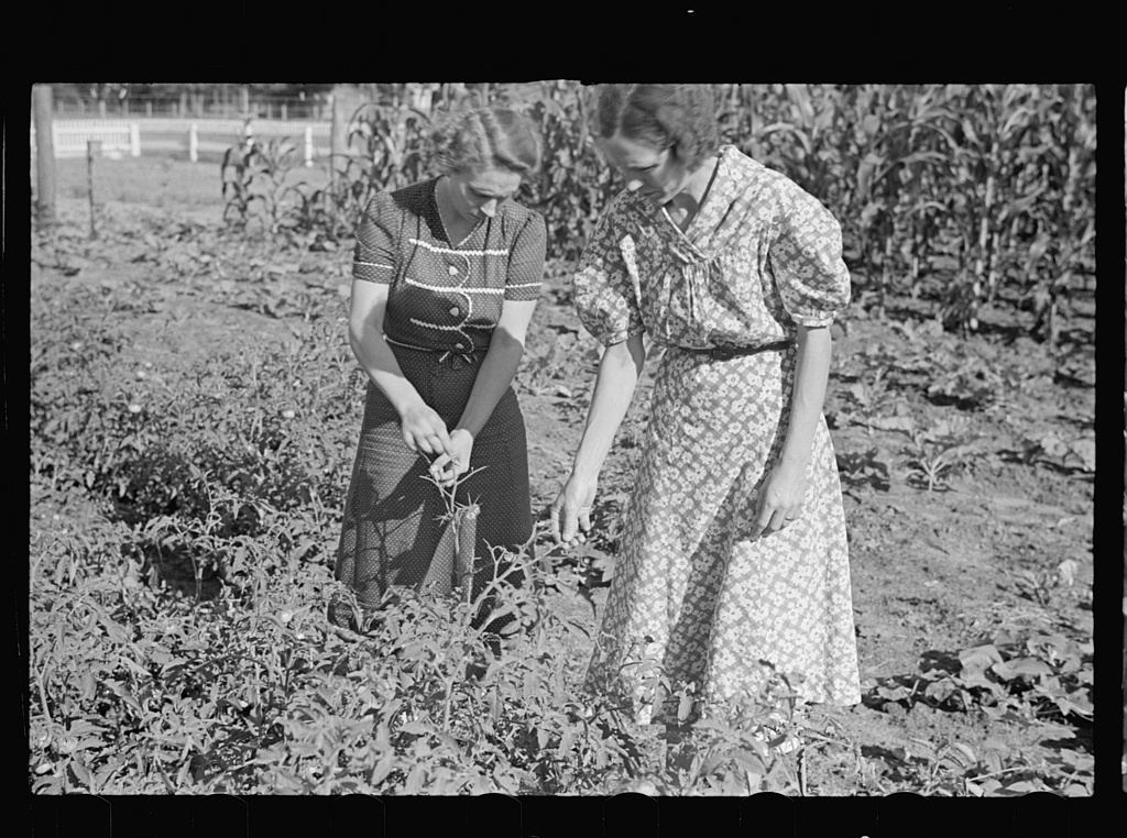 Ethel Pope with FSA Agent Inspecting her Garden Photograph by John Vachon Courtesy Library of Congress Irwinville Farms GA