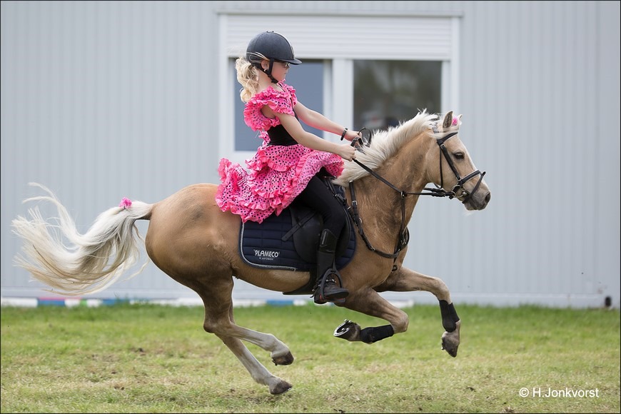 Concours Rouveen Foto Concours Rouveen 2016 Foto CH Rouveen Foto CH Rouveen 2016 Foto Ponyclub de Vlugge Viervoeters Foto De Vlugge Viervoeters Foto Stoelendans Foto Stoelendans te Paard 01 Concours Rouveen Foto Concours Rouveen 2016 Foto CH Rouveen Foto CH Rouveen 2016 Foto Ponyclub de Vlugge Viervoeters Foto De Vlugge Viervoeters Foto Stoelendans Foto Stoelendans te Paard 01