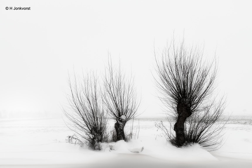 Knotwilg, knotwilgen, winters landschap, winter 2021, Staphorst, Staphorsterveld, minimalisme, minimalistisch, minimalistisch landschap, Fujifilm XT2, Fujifilm XF 16-55mm F2.8 R Lm Wr, Fotografie, Foto, Photography, Photo Knotwilg, knotwilgen, winters landschap, winter 2021, Staphorst, Staphorsterveld, minimalisme, minimalistisch, minimalistisch landschap, Fujifilm XT2, Fujifilm XF 16-55mm F2.8 R Lm Wr, Fotografie, Foto, Photography, Photo