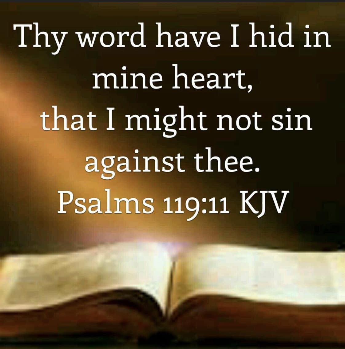 psalms 119:11 KJV AMEN-AMEIN!!