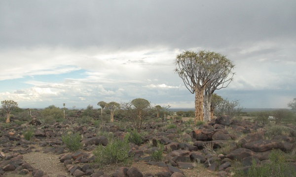 Fotografie auf Reisen