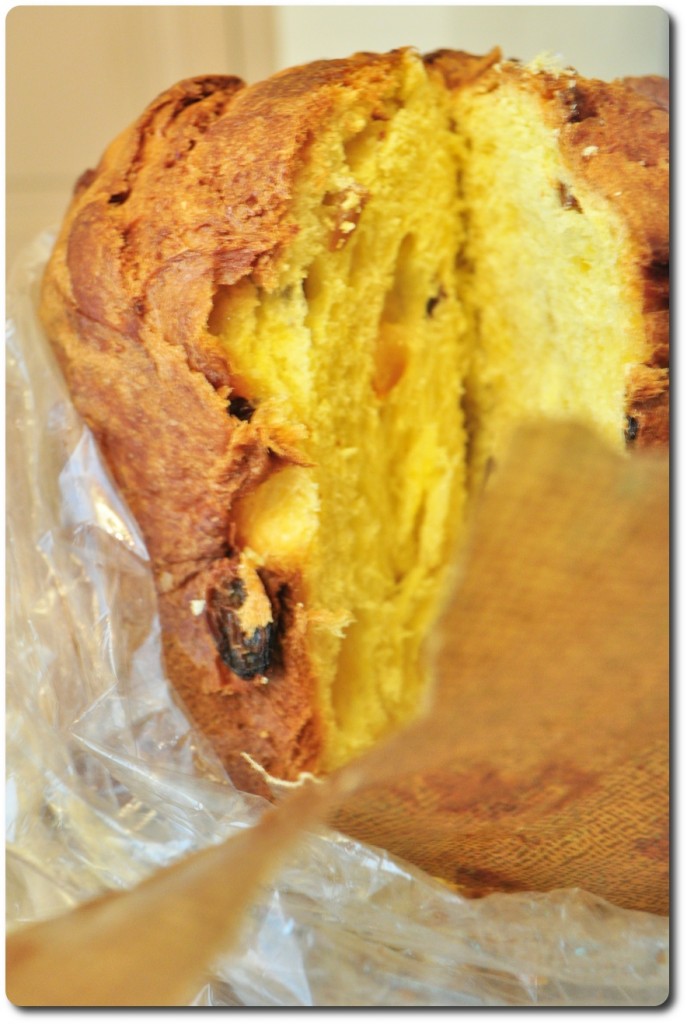 panettone cavallo interno