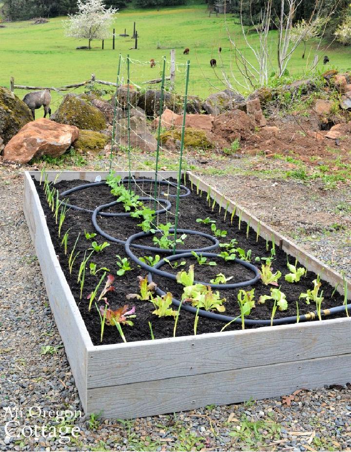 Low Maintenance Raised Garden Bed