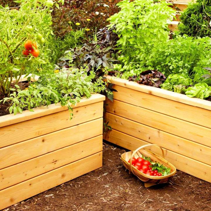 Build Your Own Large Self Watering Planter