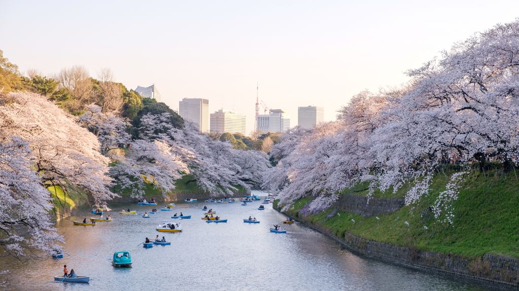 Tokyo Travel Guide