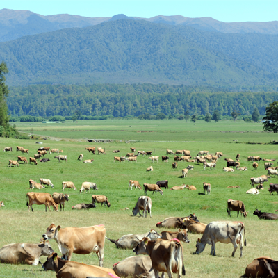 weather-greymouth-image