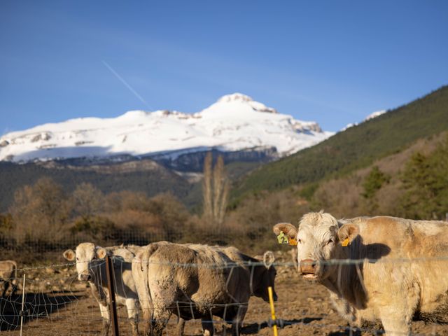 Del campo a la mesa: el viaje por el Alto Aragón que revela su cuidada propuesta agroalimentaria