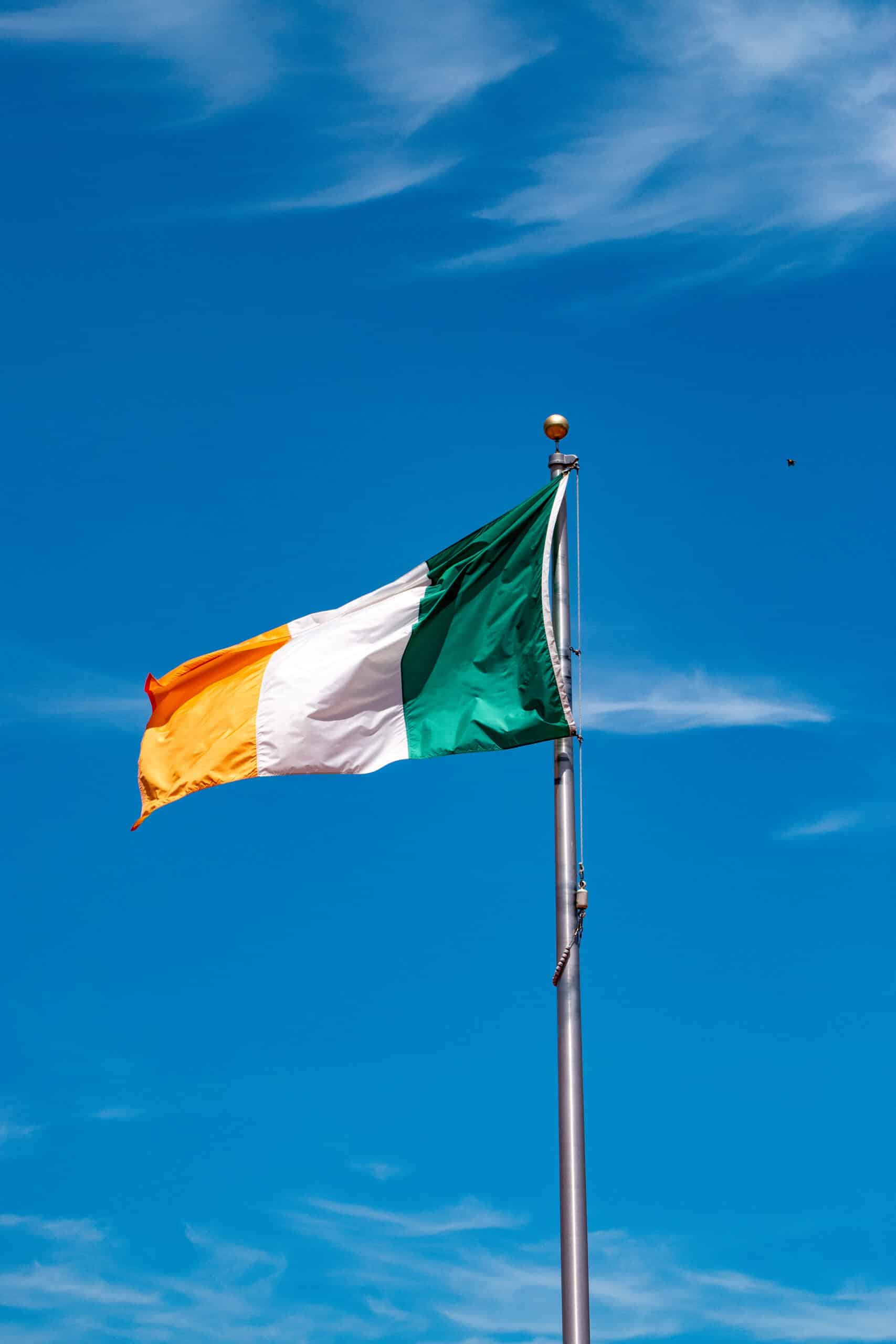 DSC_0042 Extreme Sports Bike