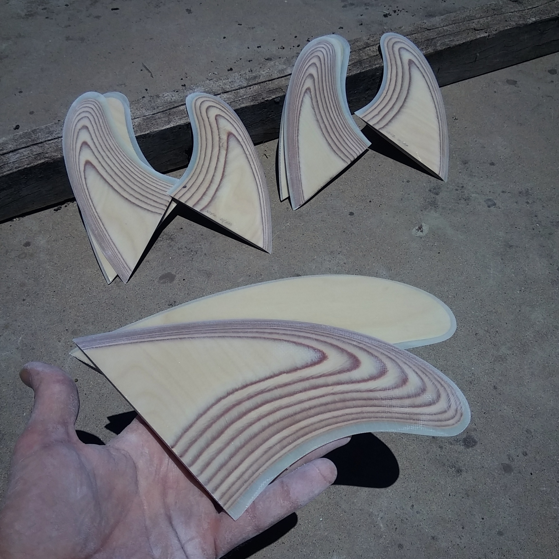 IMG_20160614_144444.jpg image