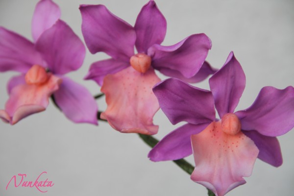Орхидея