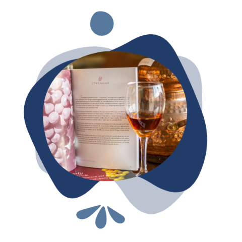 Protocolo para la elaboración de brandy