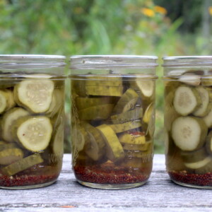 Lineup of Canned Dill Pickles