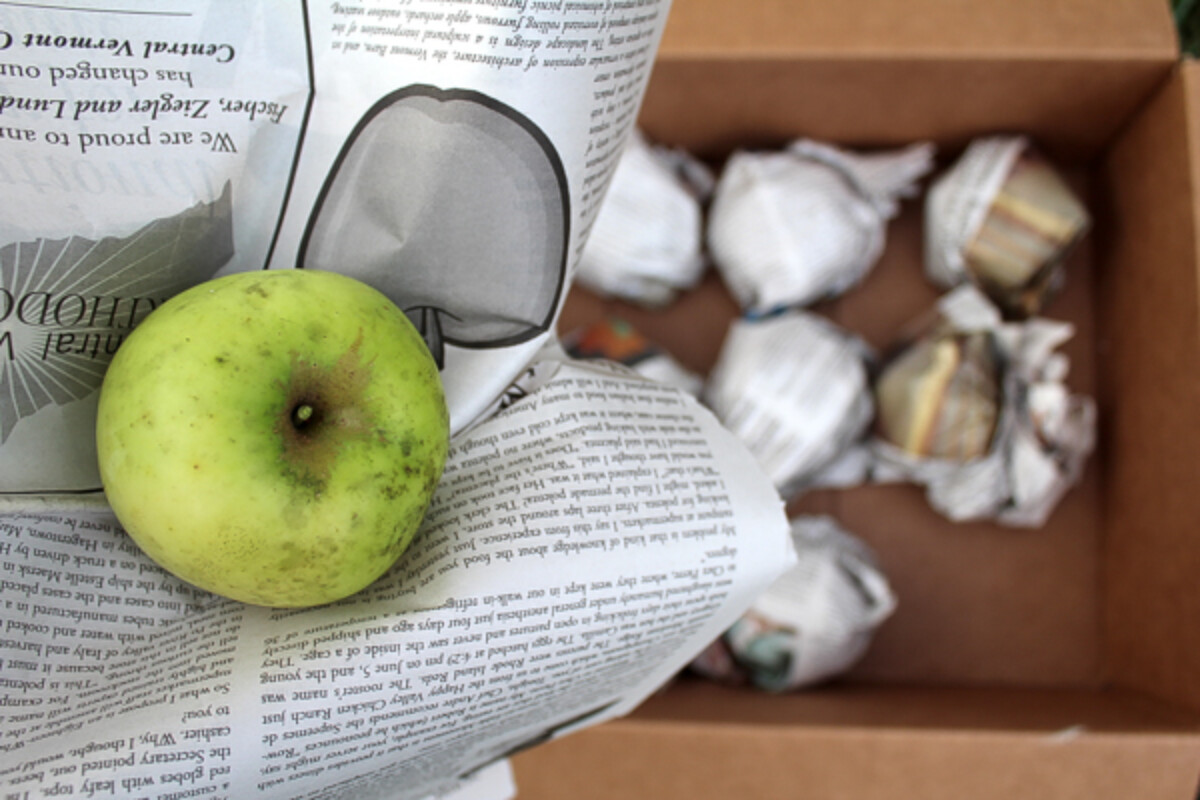 Storing Apples in a Root Cellar