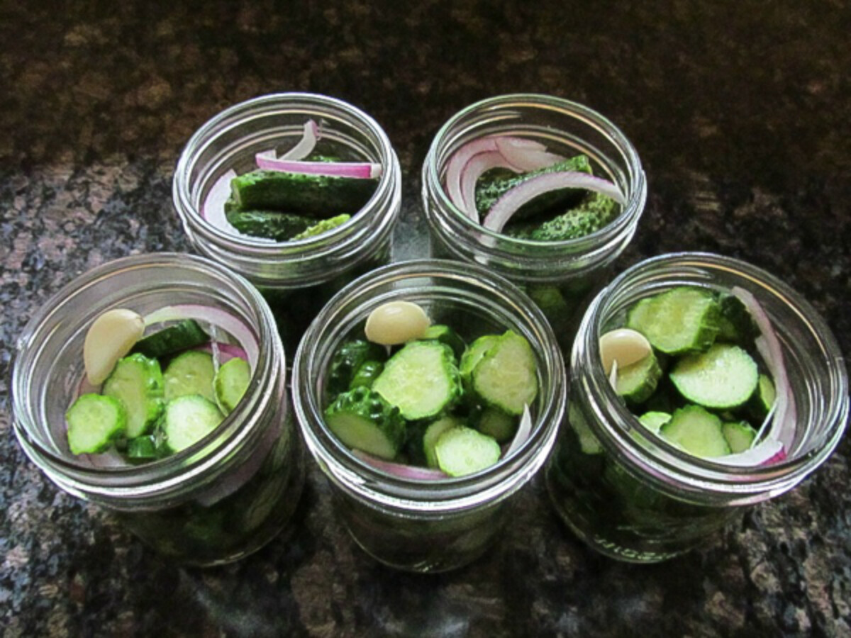 Cucumbers packed into jars for dill pickles