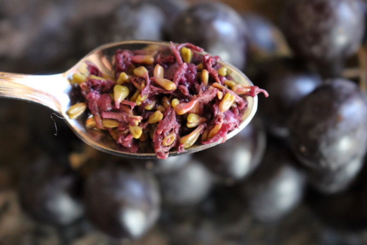 Seeds from Seedless Grapes