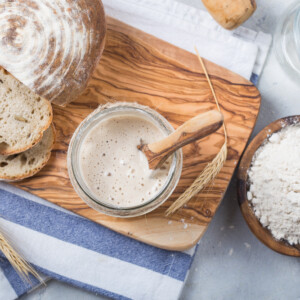 Sourdough Recipes