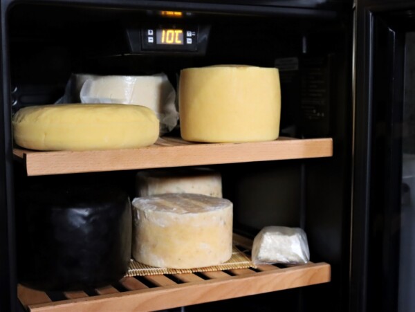 My home cheesecave as a beginning cheesemaker