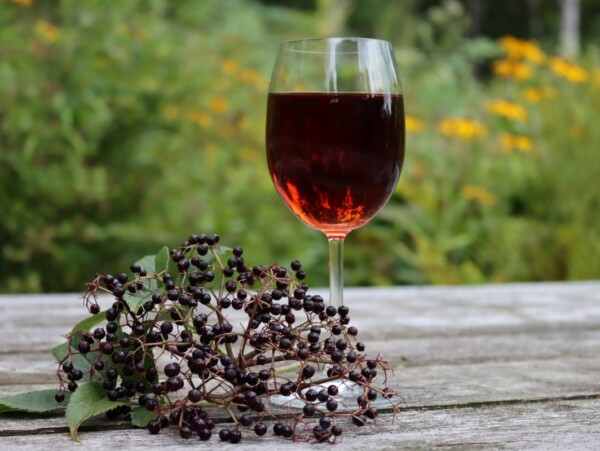 Elderberry Wine