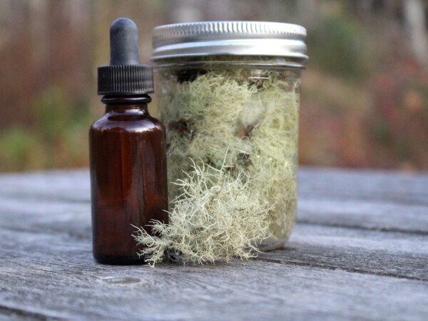 Usnea Tincture