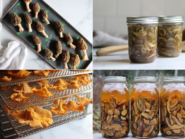 Mushroom Preservation Methods