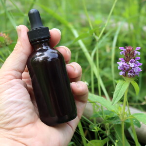 Self Heal Tincture