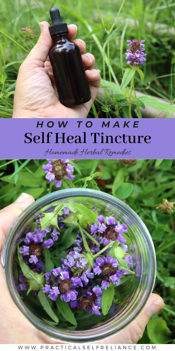 How to Make Self Heal tincture