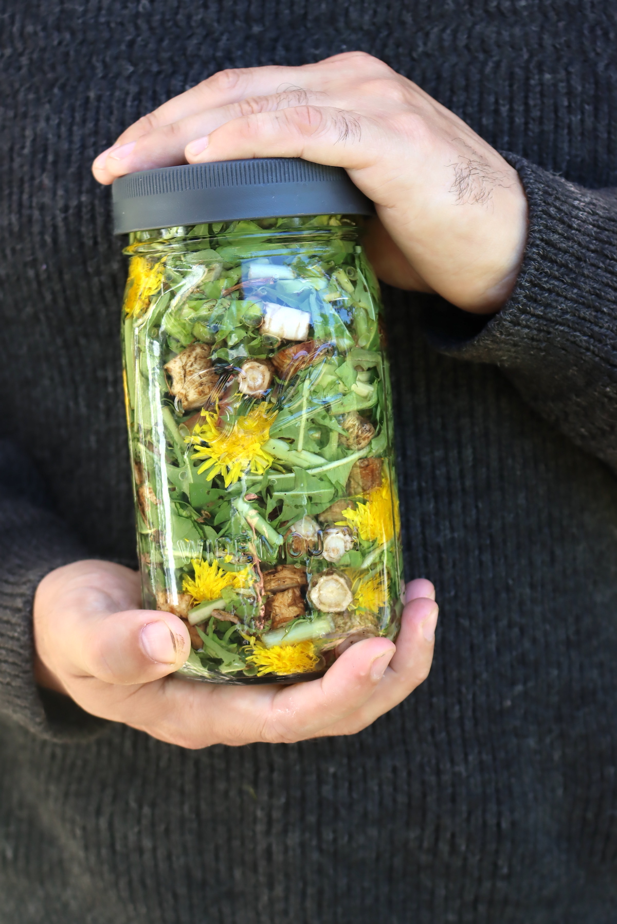 Dandelion Tincture