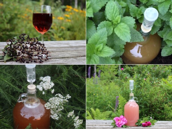 Herbal Wines and Mead